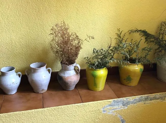 Σπίτι διακοπών Amamana